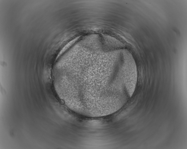 X0000090610236200708071210