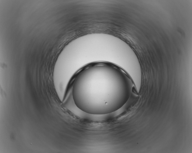 X0000090610237200708071210