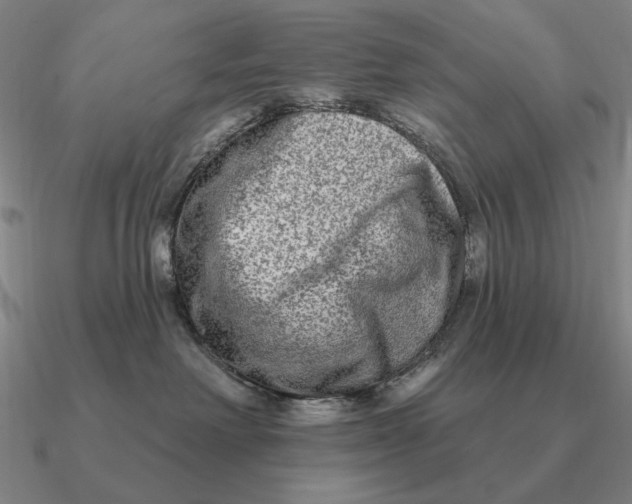 X0000090610238200708071210