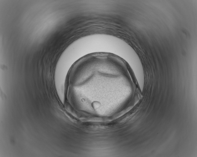 X0000090610239200708071210