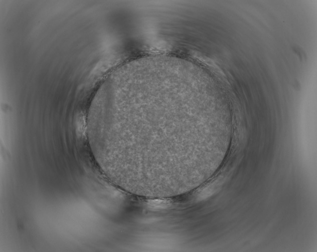 X0000090610240200708071210