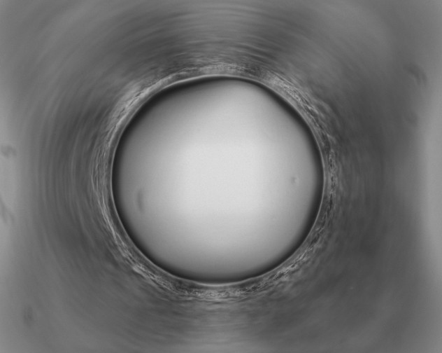 X0000090610241200708071209