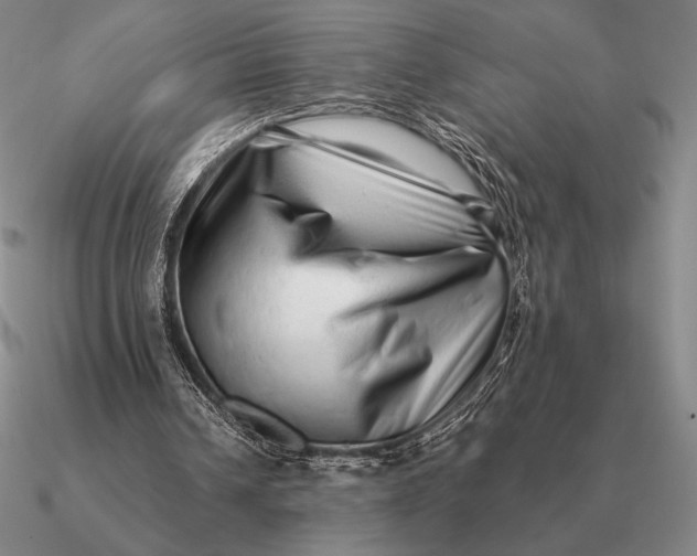 X0000090610242200708071209