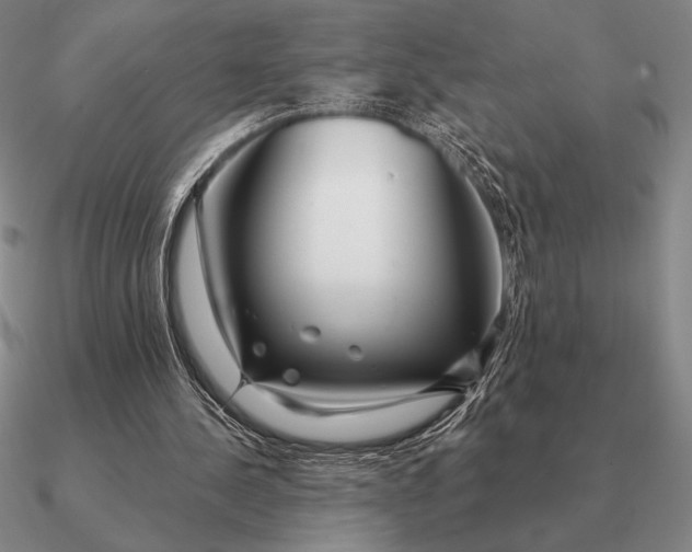 X0000090610244200708071209