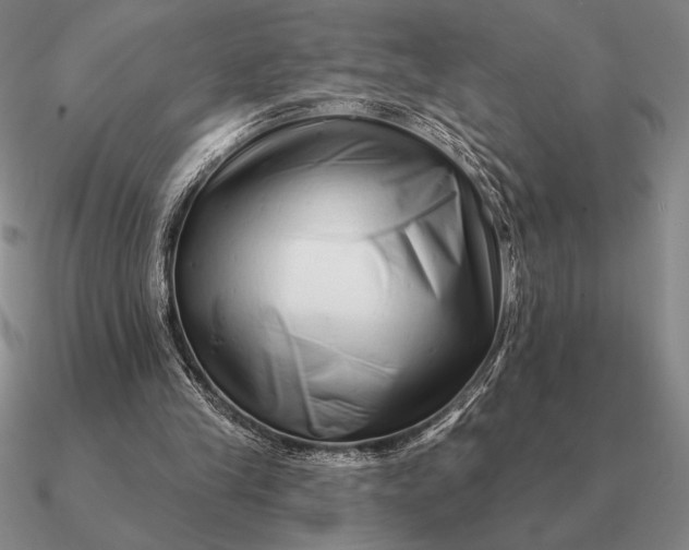 X0000090610245200708071209