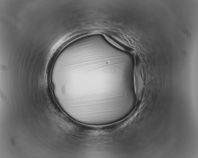 X0000090610246200708071209