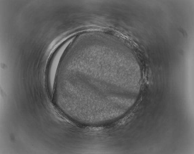 X0000090610247200708071209