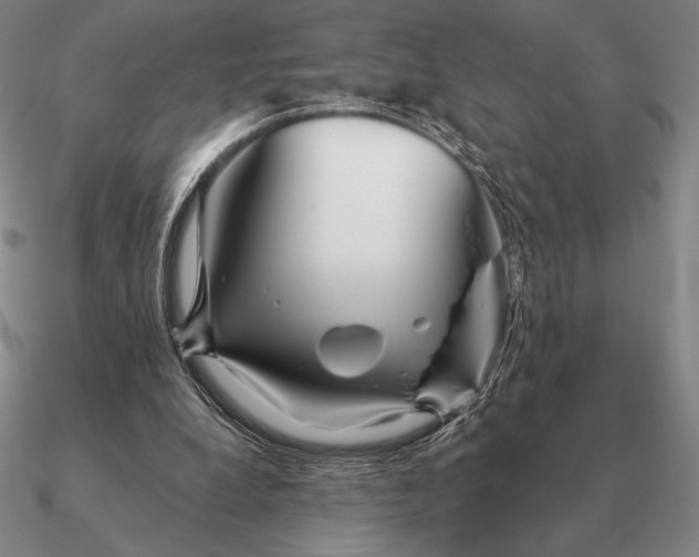 X0000090610248200708071209