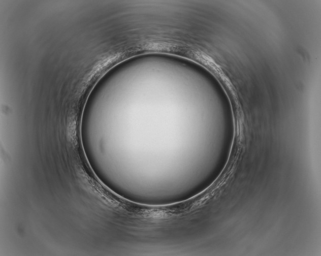 X0000090610249200708071209