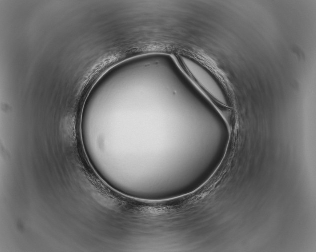 X0000090610250200708071209