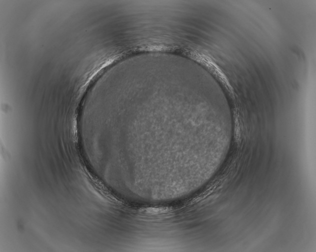 X0000090610251200708071209