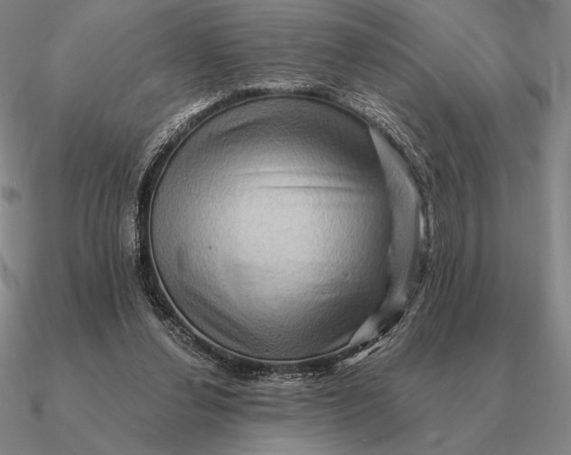 X0000090610252200708071209