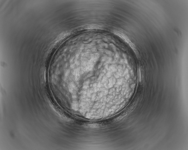 X0000090610253200708071209