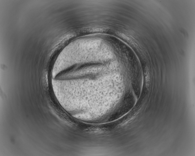 X0000090610254200708071209