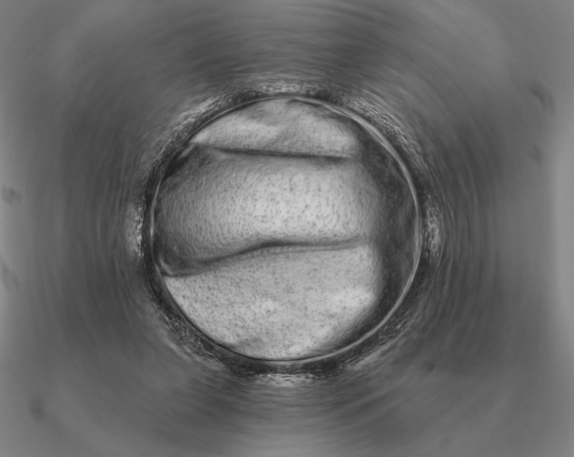 X0000090610255200708071209