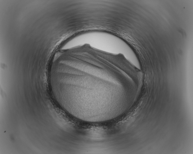 X0000090610256200708071209