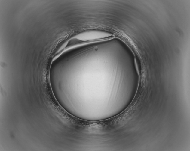 X0000090610257200708071209