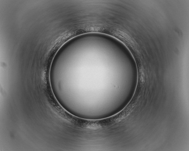 X0000090610258200708071209