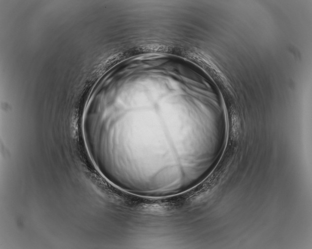 X0000090610259200708071209