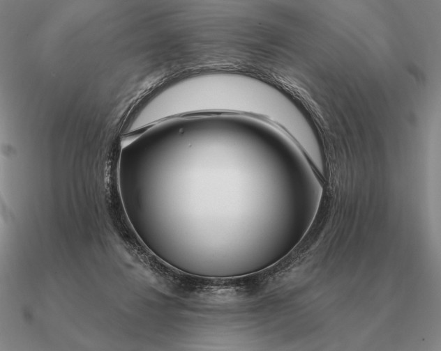 X0000090610260200708071209