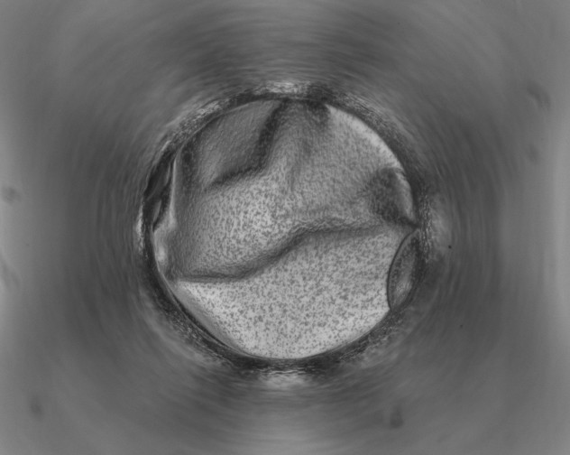 X0000090610262200708071209