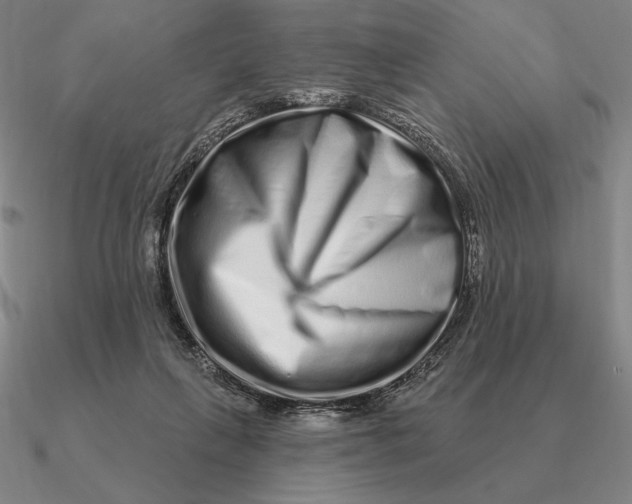 X0000090610263200708071209