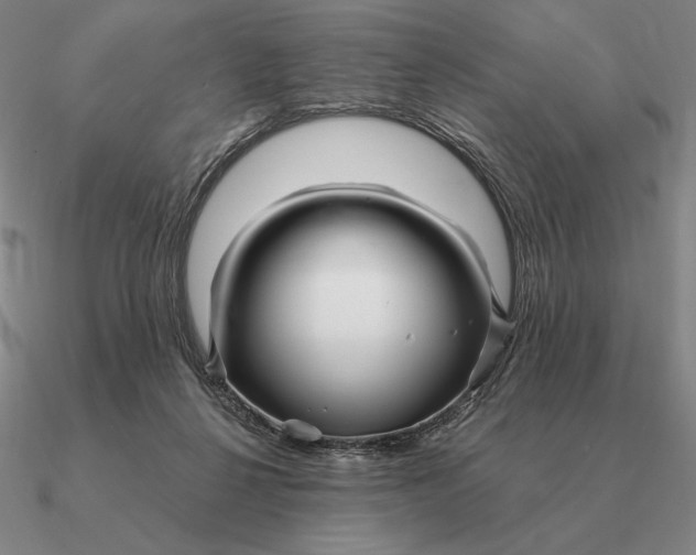 X0000090610264200708071209