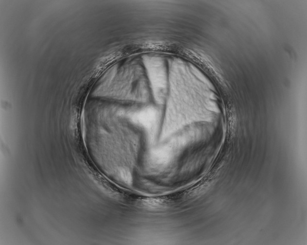 X0000090610265200708071209