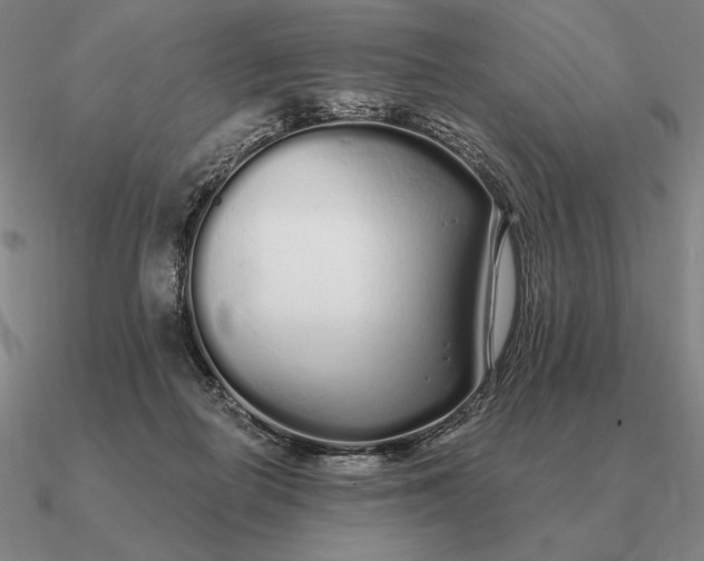 X0000090610266200708071209