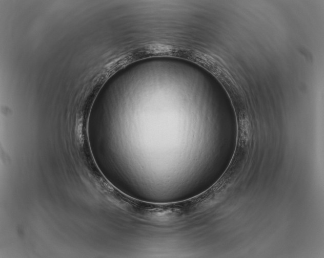 X0000090610267200708071209