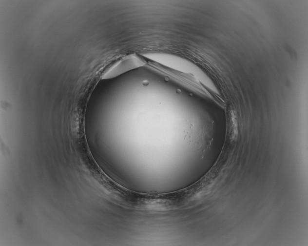 X0000090610268200708071209