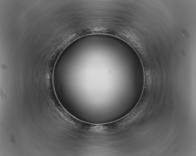 X0000090610269200708071209