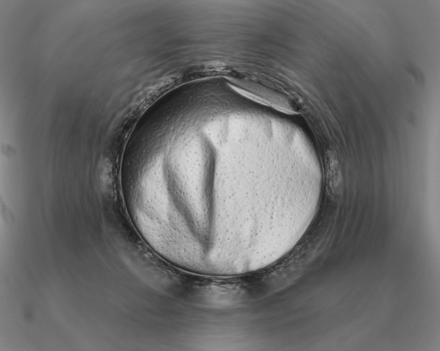 X0000090610270200708071209