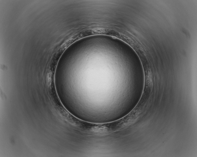 X0000090610271200708071209