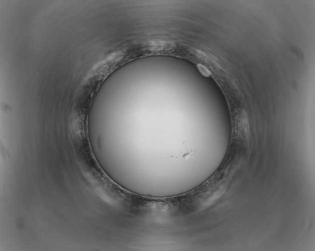 X0000090610272200708071209