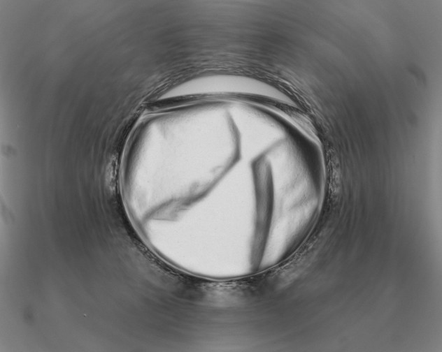 X0000090610273200708071209