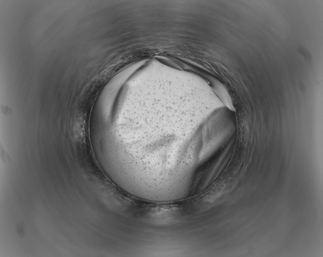 X0000090610274200708071209