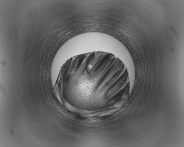 X0000090610275200708071210