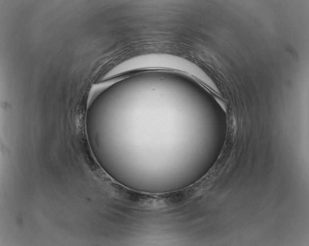 X0000090610276200708071210