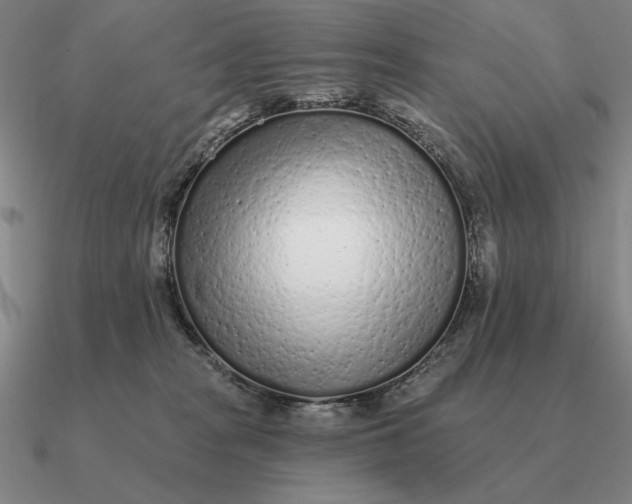 X0000090610277200708071210