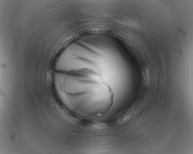 X0000090610278200708071210