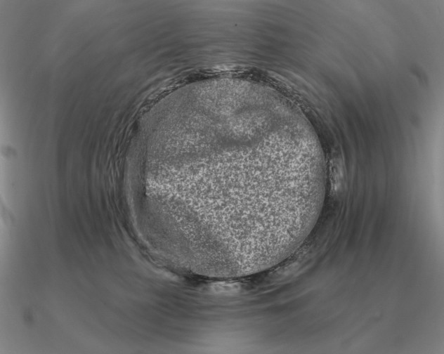 X0000090610279200708071210