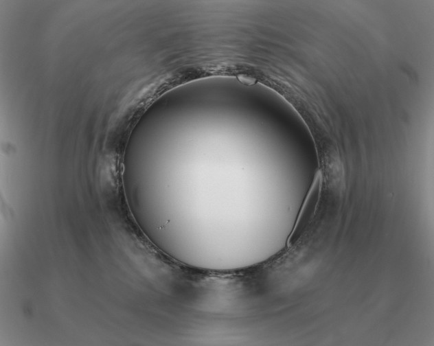 X0000090610280200708071210