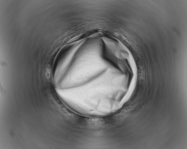 X0000090610281200708071210