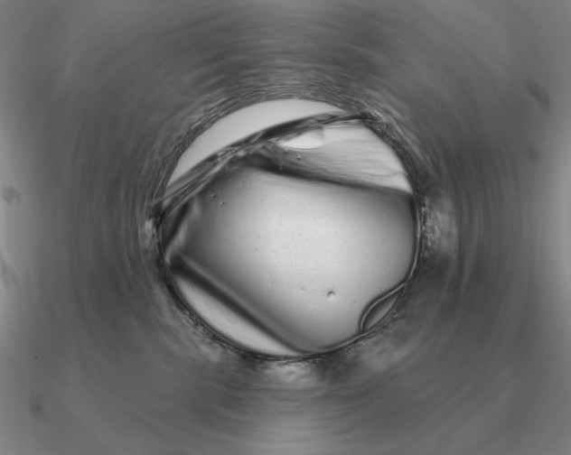 X0000090610283200708071210