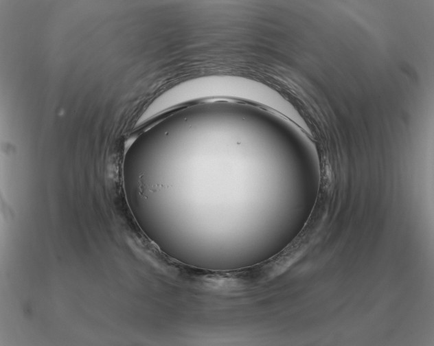 X0000090610284200708071210