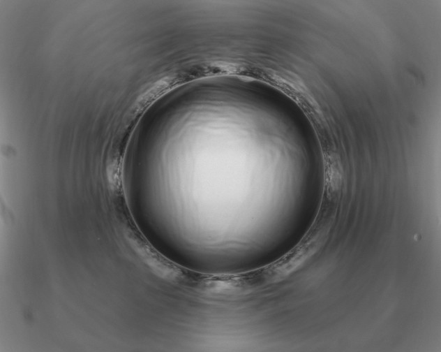 X0000090610285200708071210