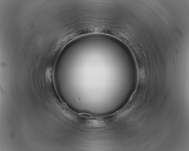 X0000090610286200708071210