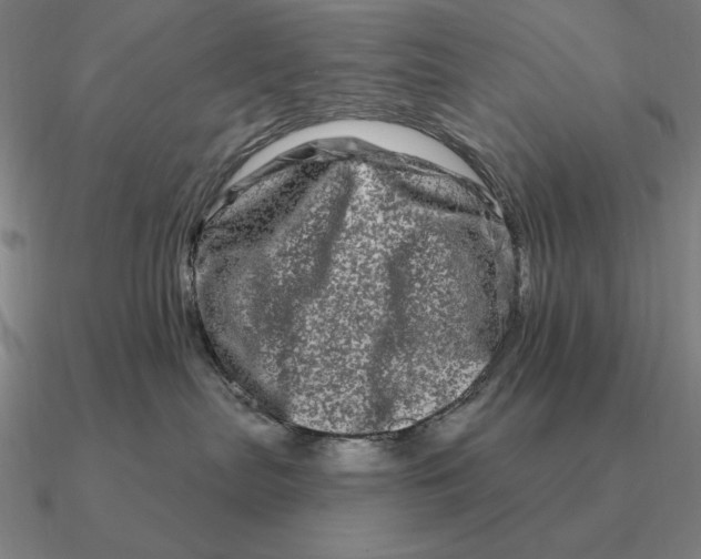 X0000090610287200708071210