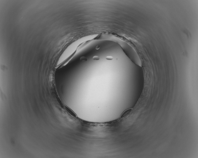 X0000090610288200708071210